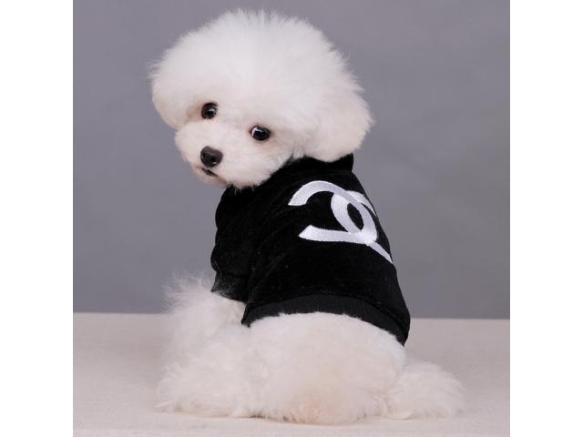 Coco Chanel Hoodies - PUPPY