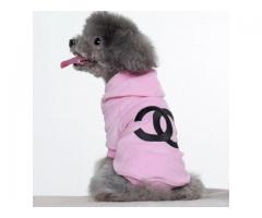 Coco Chanel Hoodies